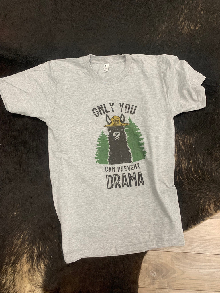 Only YOU can prevent LLama Drama